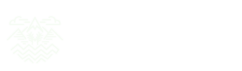 Wild Ecology